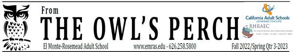  owl perch banner